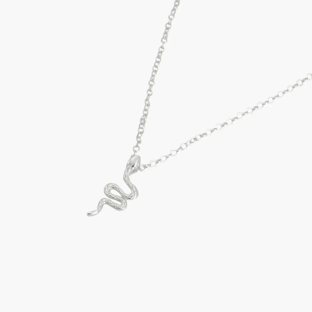Fashion Collier serpent Argent Garanti Silver Idol Colliers | Colliers